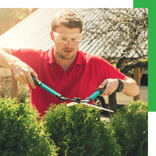 Yard Work headline