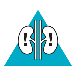 kidney-icon