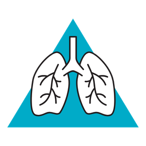 lung icon