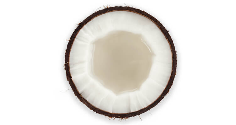coconut-752x400
