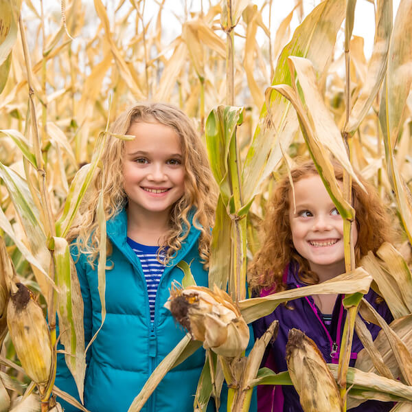 kids-in-cornfield-800x800