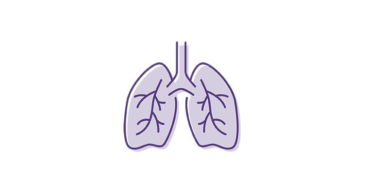lungs-icon-752x400