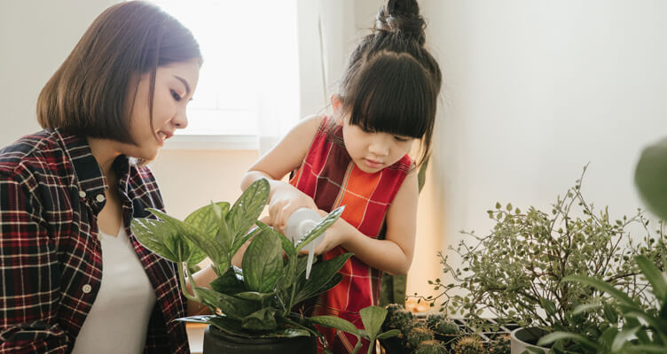 woman-potting-plant-752x400